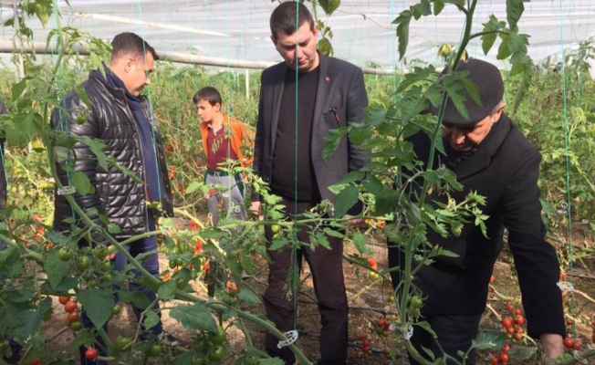 MHP’lilerden felaket bölgesine ziyaret