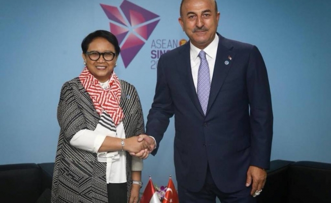 Çavuşoğlu Singapur'da