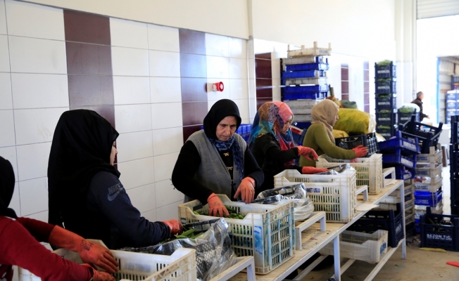 İlk 6 ayda 2 milyar TL’lik işlem yapıldı