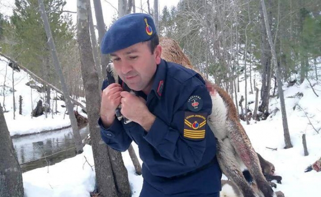Kardaki lastik izlerini takip eden ekipler, korkunç manzarayla karşılaştı