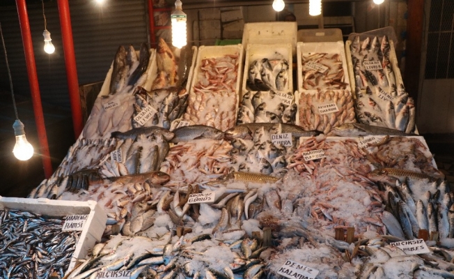 Balıkçılar çiftlik balıklarının fiyatlarının artmasına tepkili
