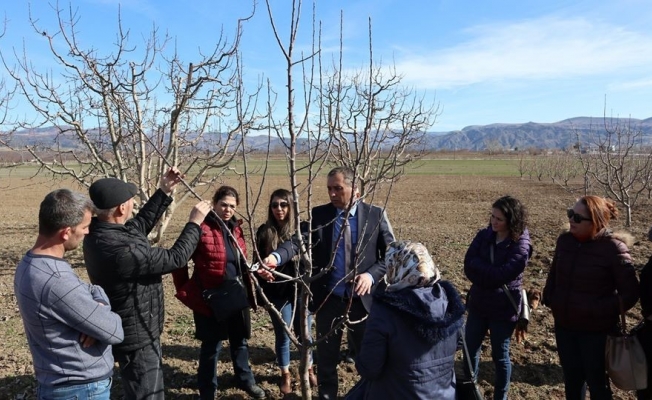 Tarım danışmanlarına budama eğitimi