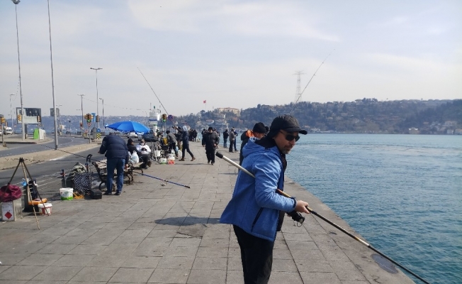 Balıkçılar öğle saatlerinde Arnavutköy sahiline akın etti
