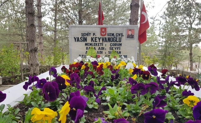 Belediye şehitliği çiçeklerle donattı