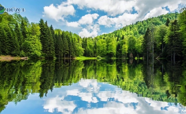 Düzce Valiliği hazırladığı video ile vatandaşları uyardı: