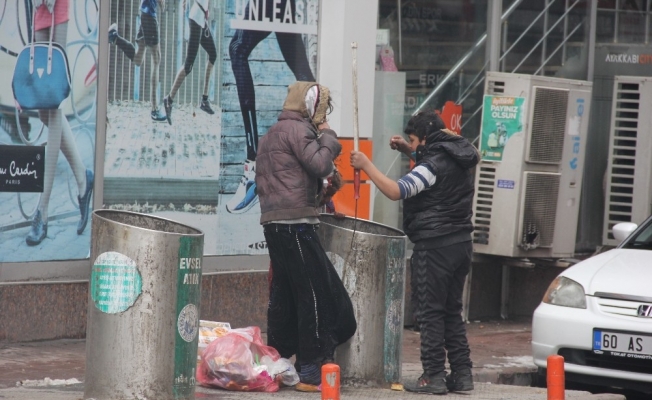 Hiçbir şeye aldırmadan çöp bidonuna daldılar