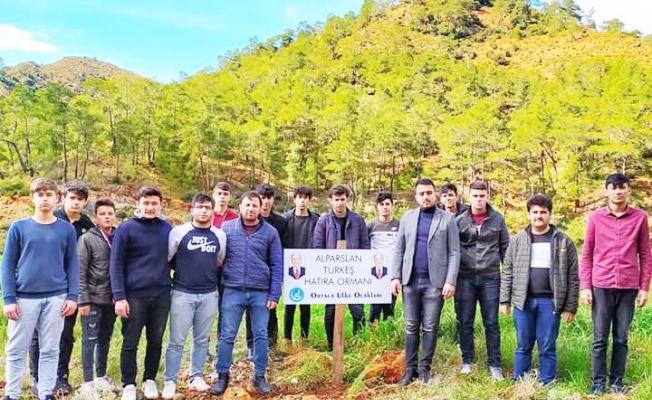 Ortaca Ülkü Ocakları Şehitler anısına fidan dikti