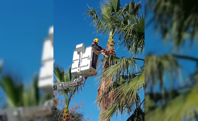 Ortaca yaz mevsimine hazırlanıyor