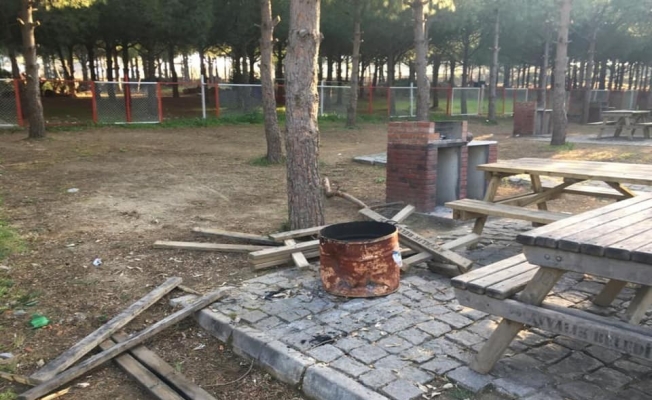 Şehir magandaları piknik masalarını yaktı