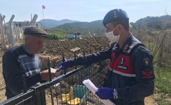 Ayvacık’ta 65 bin 541 kişinin talebi karşılandı