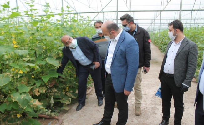 Diyarbakır’da tarım ve hayvancılıkta üretim hız kesmeden sürüyor