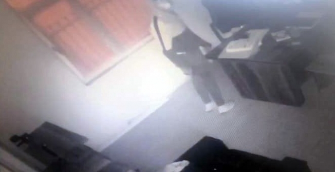 Girdikleri iş yerinden köpeği bile çaldılar