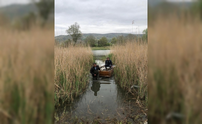Gölette germe ağ ile sazan avlarken jandarmaya yakalandılar