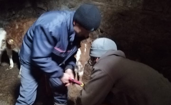 Karadayı: ‘Evde kal fiziksel mesafeyi koru’