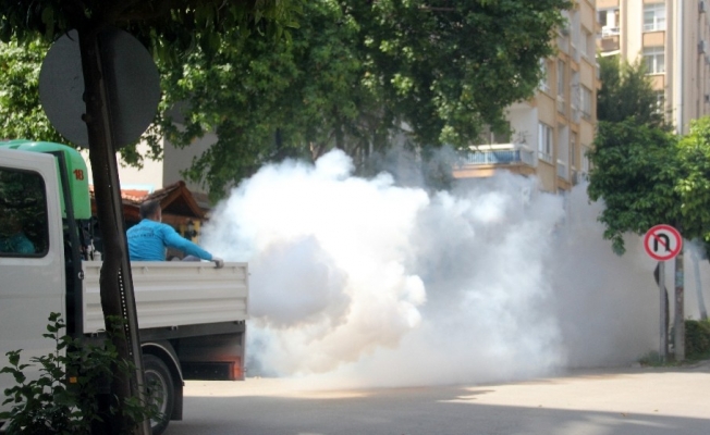 Korona virüsü duman ettiler