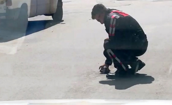 Polis memurunun kaplumbağa duyarlılığı