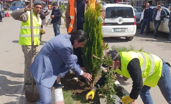 Taşlıçay Belediyesinden, ağaçlandırma çalışmaları