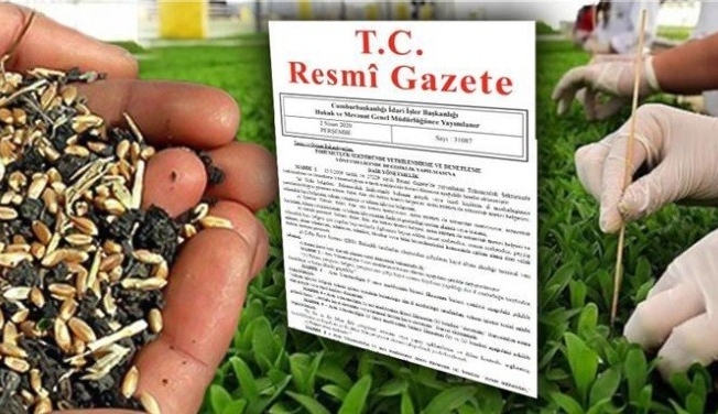 Tohumculuk sektöründe yetki ve denetlemede bir dizi değişiklik