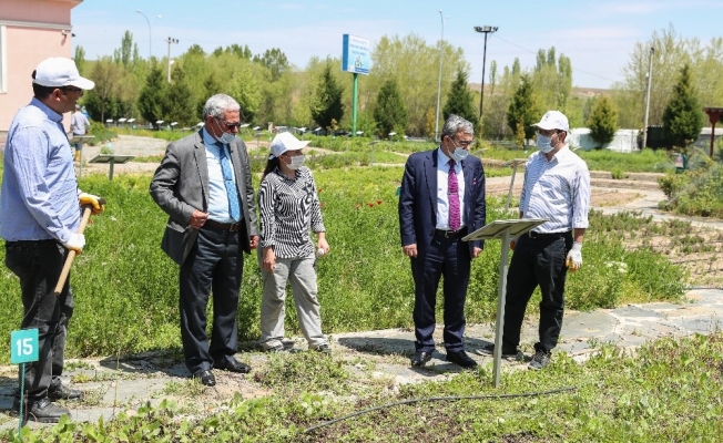 Başkan Işık, Hekim Sinan Tıbbi Bitkiler Araştırma Merkezi’ni  ziyaret etti