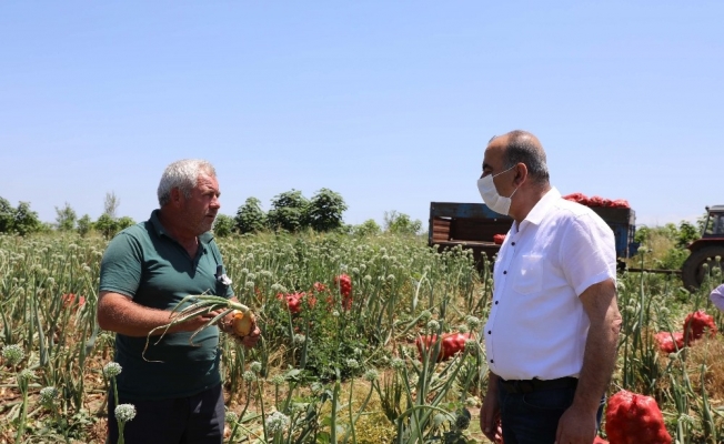 Mudanya Belediyesi çiftçiden aldığını ihtiyaç sahibine dağıtacak