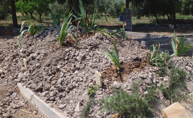Bursa’da cinnet geçiren anne ve öldürdüğü çocukları toprağa verildi