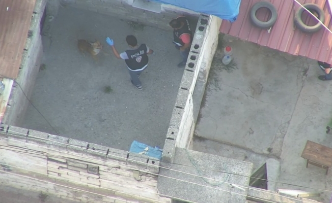 Çete operasyonunda polise pitbull şoku