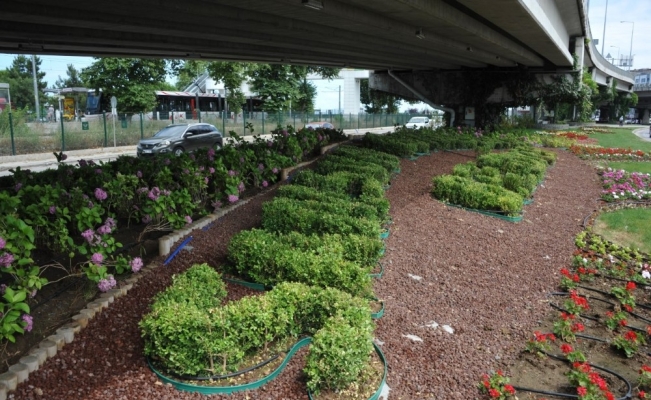 Çevre ve peyzaj düzenlemeleri ile görsel şölen