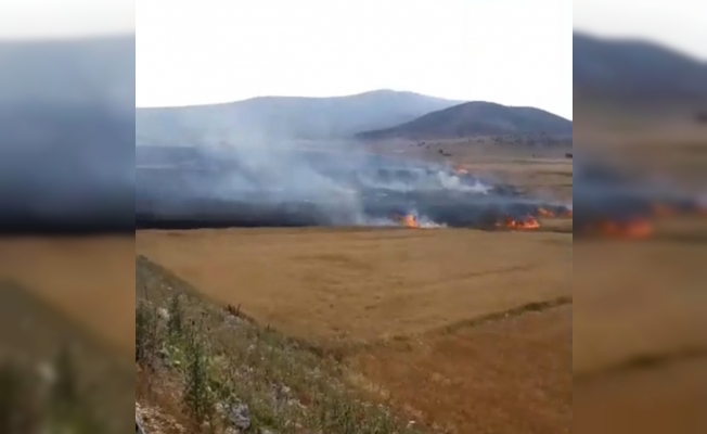 Hasat bekleyen 200 dönüm arpa ve buğday kül oldu