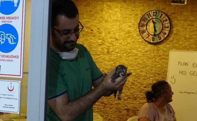 (Özel) Öğrenci beklerken büyük bir sürprizle karşılaştılar