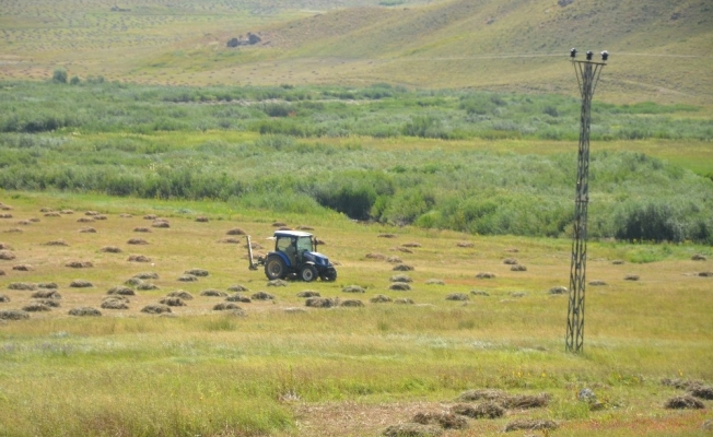 Şırnak’ta kavurucu sıcaklar altında kış mesaisi başladı