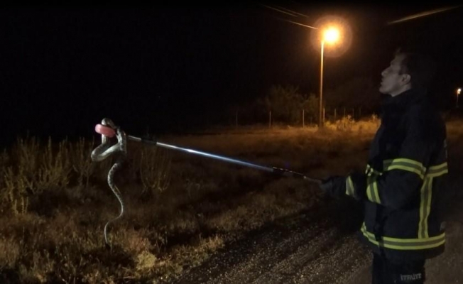 Sürücünün yolda fark edip ezmek istemediği yılan aracın içine girdi