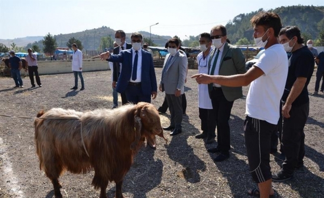 Vali Gürel hayvan pazarını denetledi