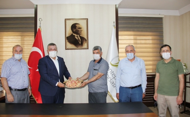 Yılın ilk antep fıstığına altın ödülü