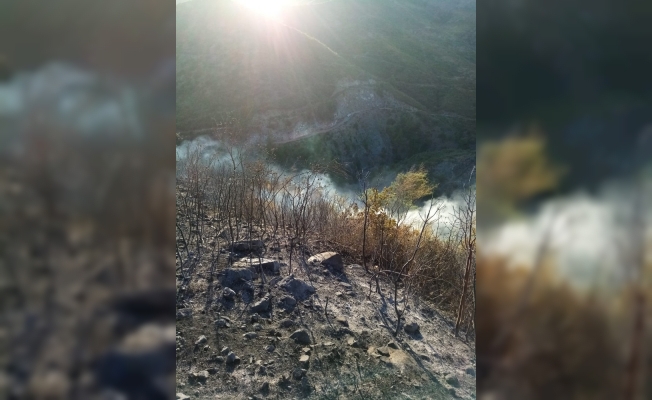 Amanos Dağları’ndaki yangın söndürüldü