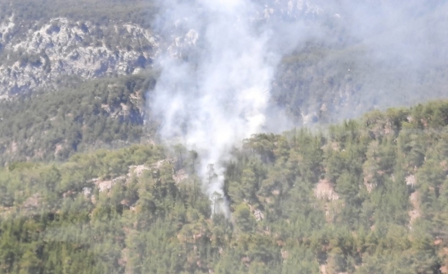Antalya’da korkutan orman yangını