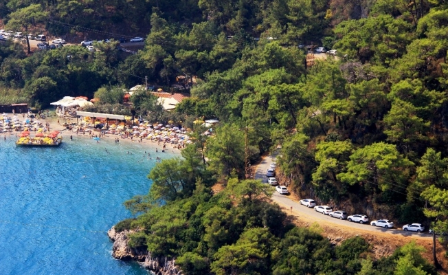 Araçların ucu bucağı yok