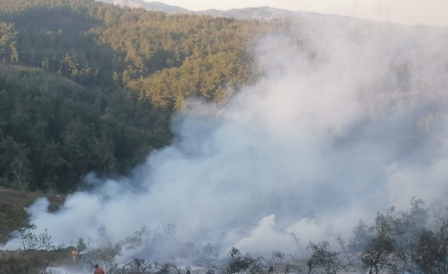 Bursa’da orman yangını kontrol altına alındı