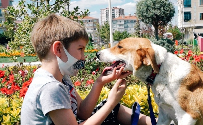 Çorlu Belediyesi Dünya Köpek Gününde farkındalık oluşturdu