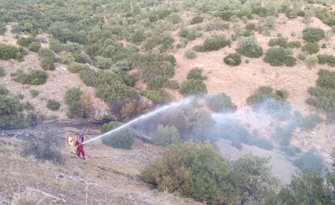 Denizli’de çıkan orman yangını kontrol altına alındı