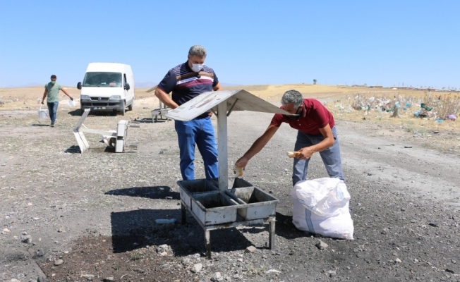 Erciş Belediyesi sıcaktan bunalan hayvanları unutmadı