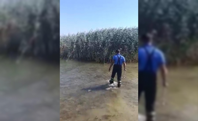 Gölde mahsur kalan köpeği itfaiye kurtardı