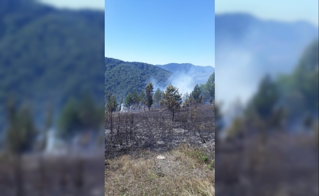 Kastamonu’da ormanlık alanda çıkan yangını köylüler söndürdü