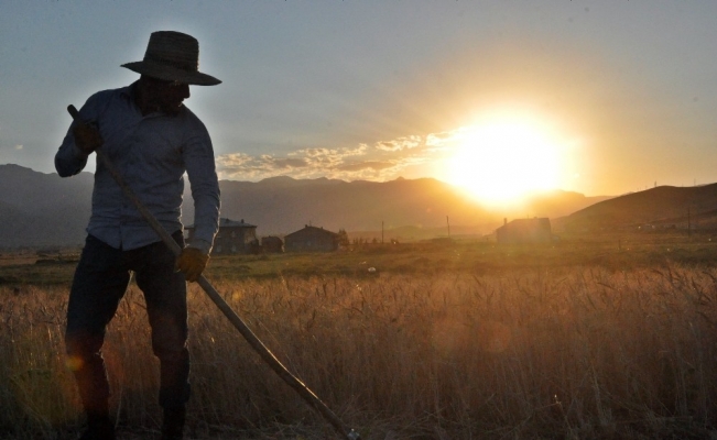 Kavurucu sıcakta kış hazırlığı