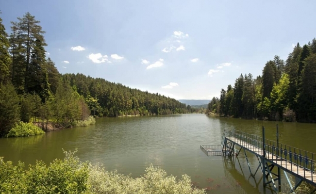 Küçükelmalı Göledi ile Tabiat Parkı’nda ateş yakmak yasaklandı