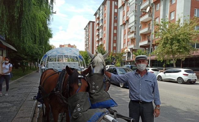 Şampuanla yıkanan atlar misafirlerini bekliyor