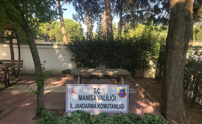 Şehzadeler’de uyuşturucu operasyonu: 1 gözaltı