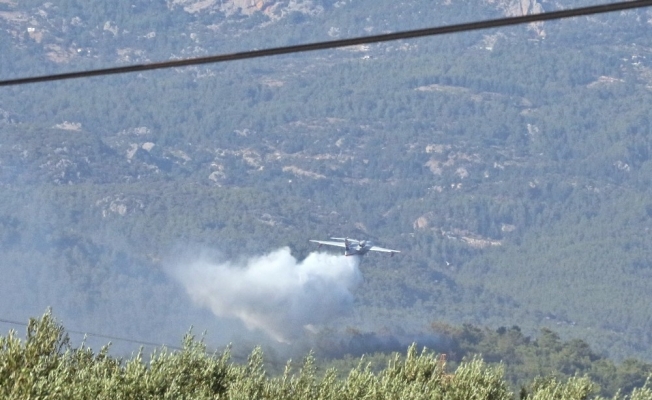 Serik’teki orman yangını 4,5 saat sonra kontrol altına alındı