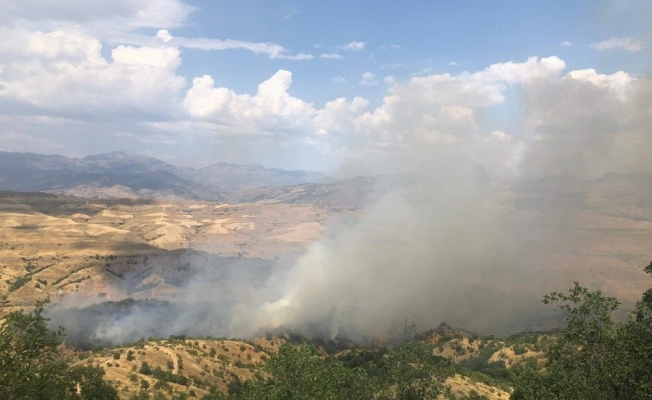 Siirt’te dumanlar gökyüzünü kapladı, köylüleri korku saldı