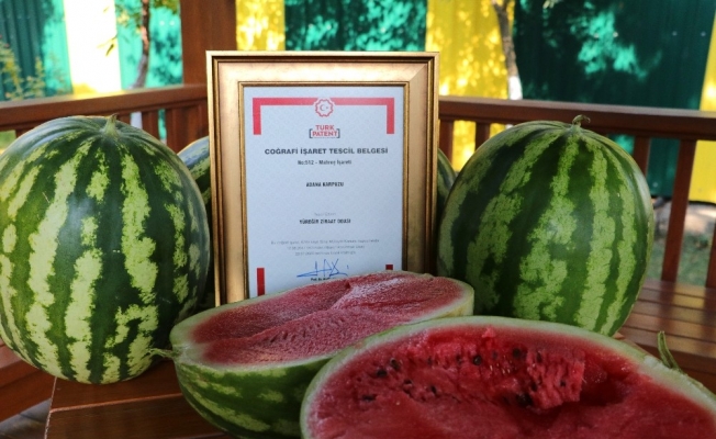 Tescilli Adana karpuzu ekonomiye katkı sağlayacak