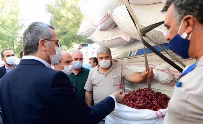Tescilli "Maraş biberi" pazara indi